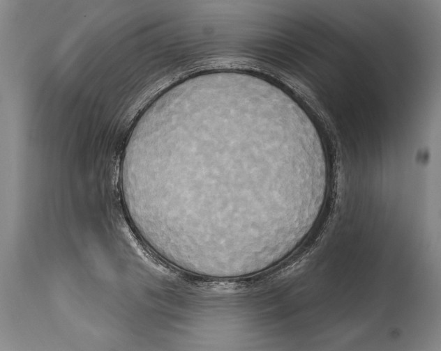 X0000114670841200911181205