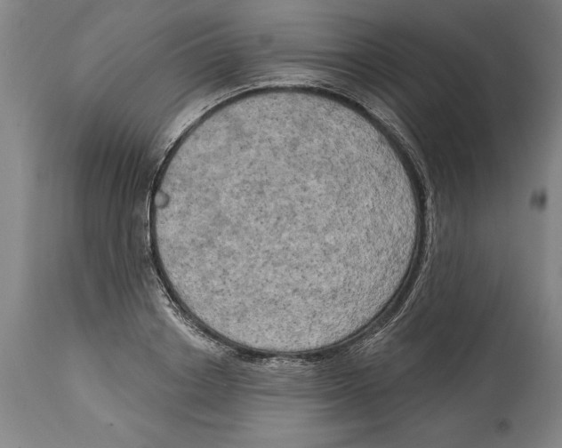 X0000114670842200911181205