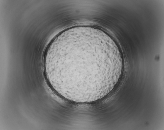 X0000114670843200911181205