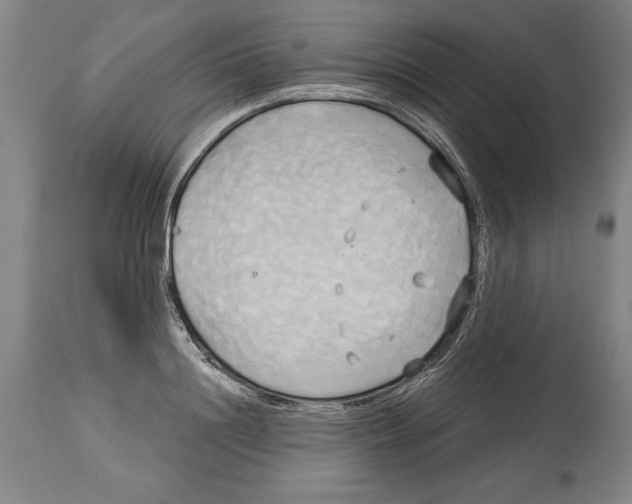 X0000114670844200911181205