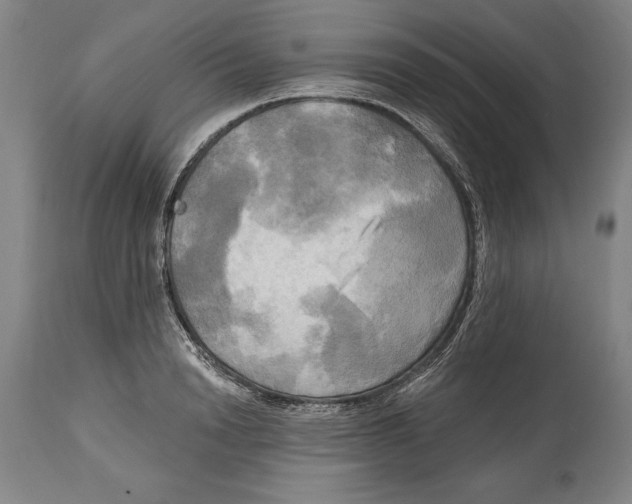 X0000114670846200911181205