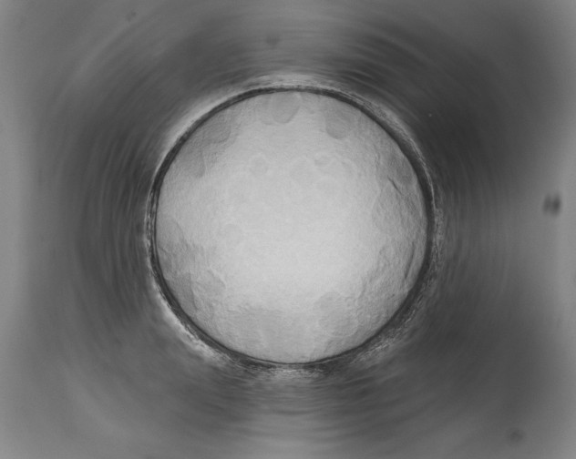 X0000114670847200911181205