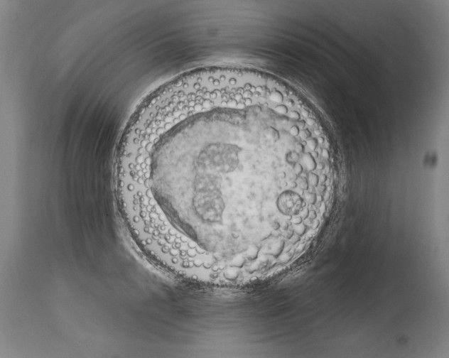 X0000114670848200911181205