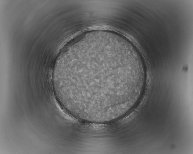 X0000114670849200911181205