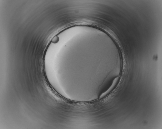 X0000114670850200911181205