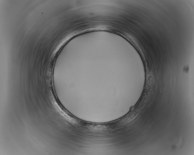 X0000114670851200911181205