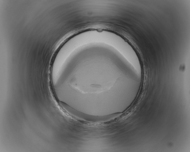 X0000114670853200911181205