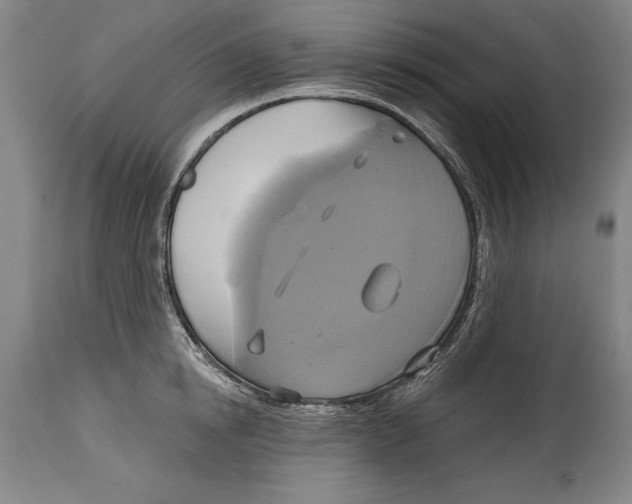 X0000114670854200911181205