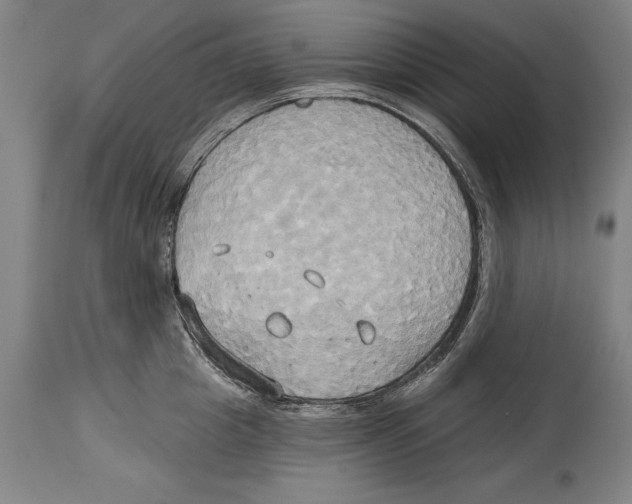 X0000114670857200911181205