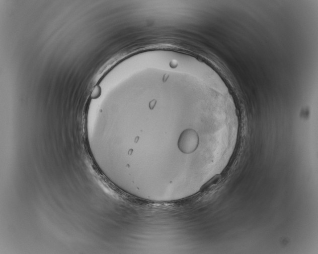 X0000114670858200911181205