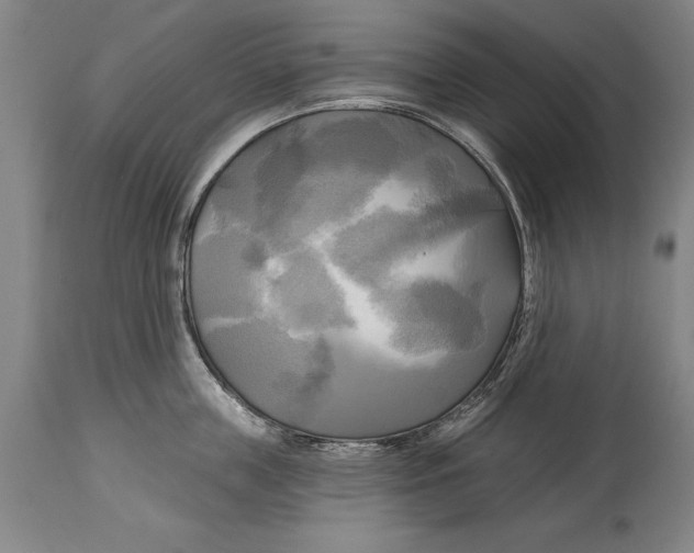 X0000114670859200911181205