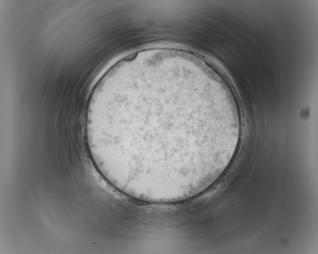 X0000114670860200911181205