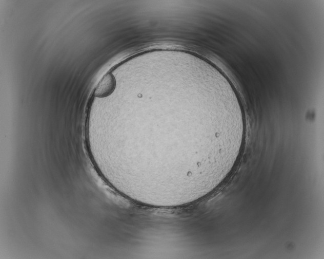 X0000114670861200911181205