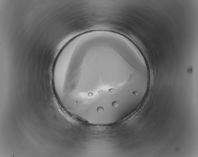 X0000114670862200911181205