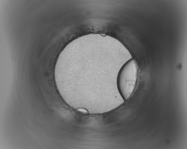 X0000114670865200911181205