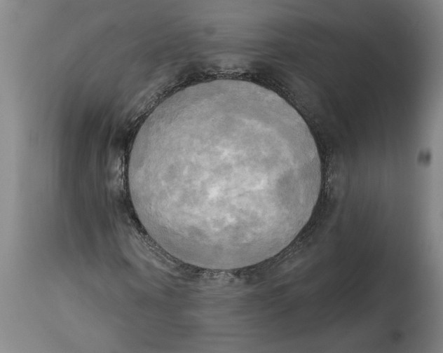 X0000114670866200911181205