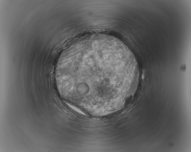 X0000114670867200911181205