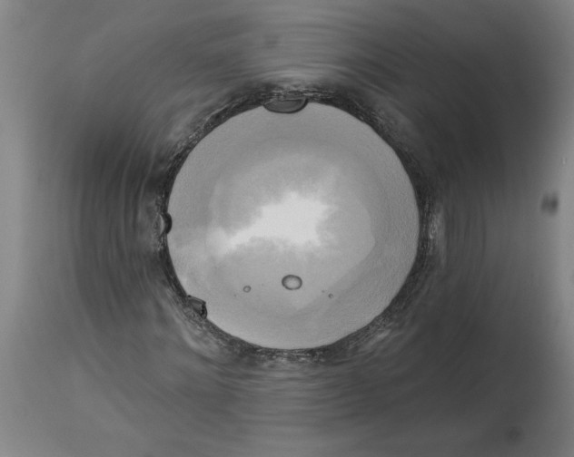 X0000114670868200911181205