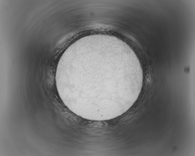 X0000114670869200911181205