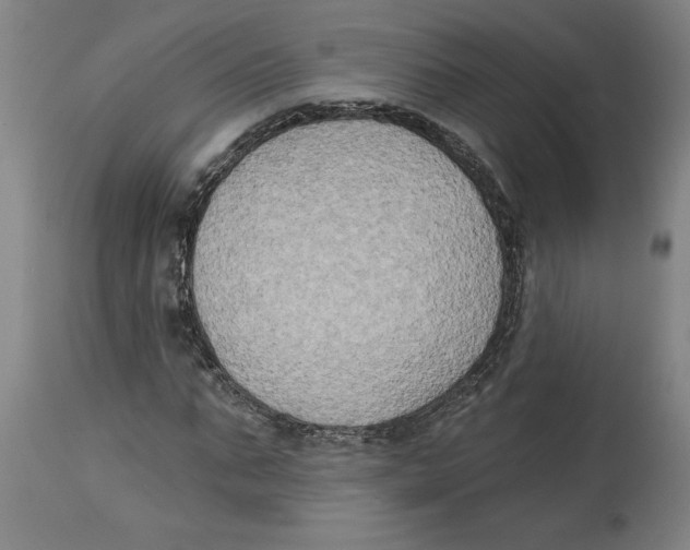 X0000114670871200911181205