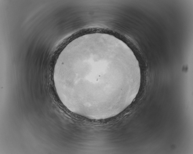 X0000114670872200911181205