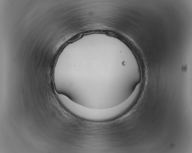 X0000114670873200911181205