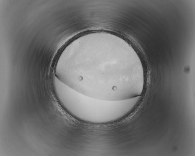 X0000114670876200911181205