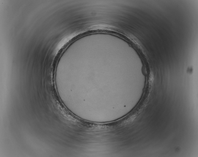 X0000114670877200911181205