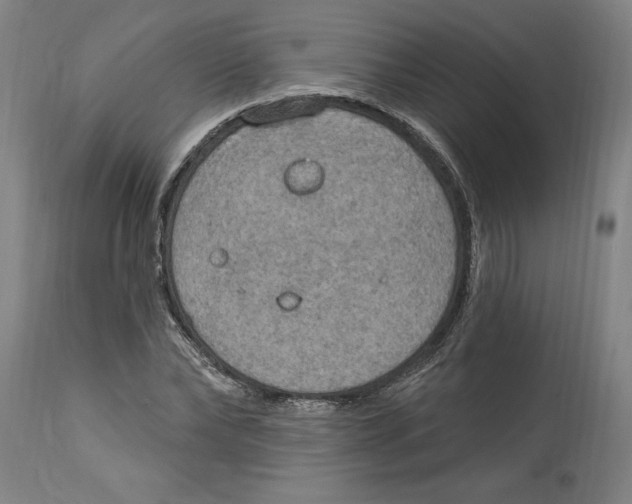 X0000114670878200911181205