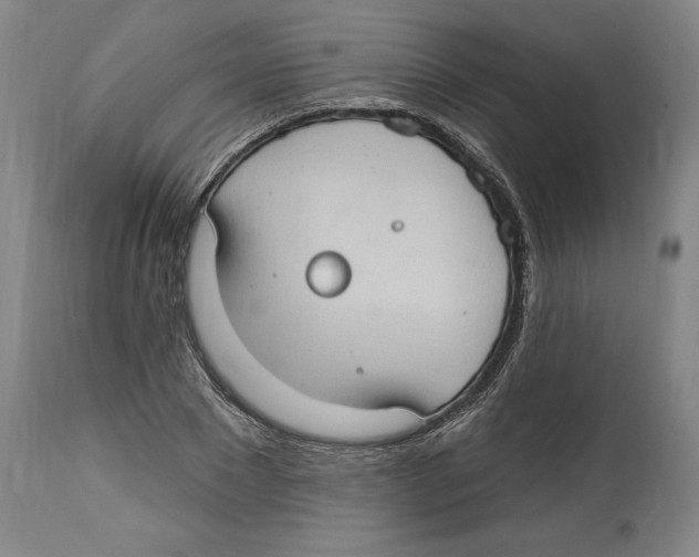 X0000114670881200911181204