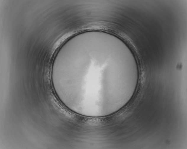 X0000114670882200911181204