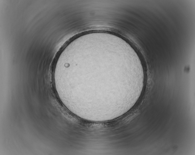 X0000114670883200911181204