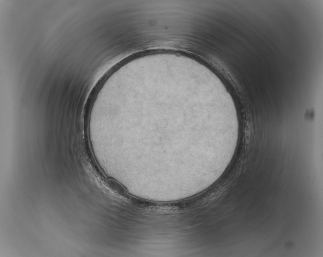 X0000114670884200911181204