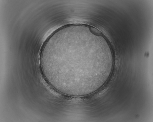 X0000114670885200911181204