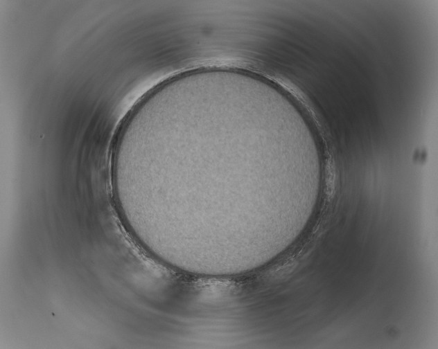 X0000114670886200911181204