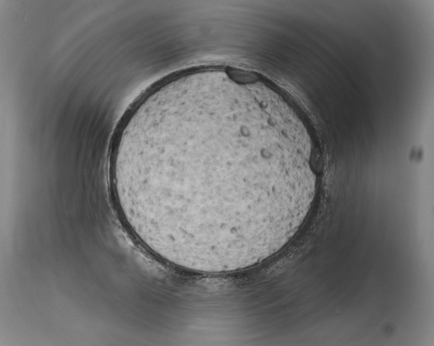 X0000114670888200911181204