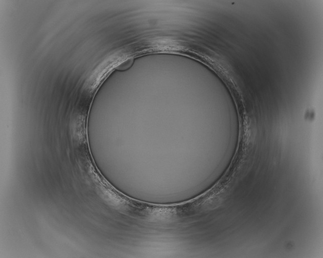 X0000114670889200911181204