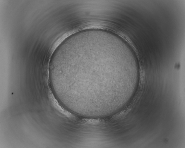 X0000114670890200911181204