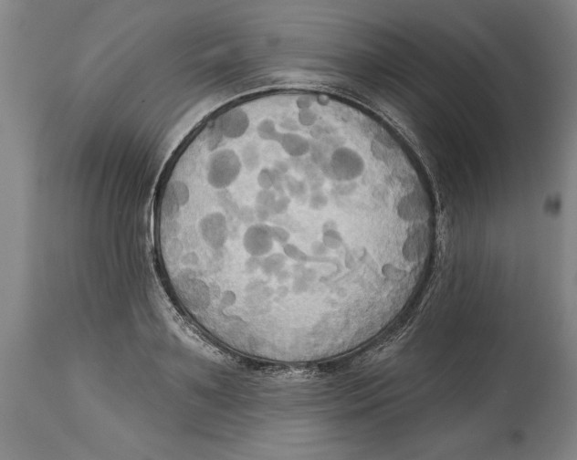 X0000114670891200911181204