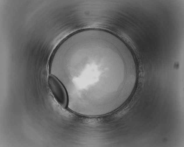 X0000114670892200911181204