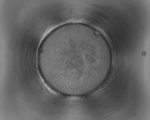 X0000114670894200911181204