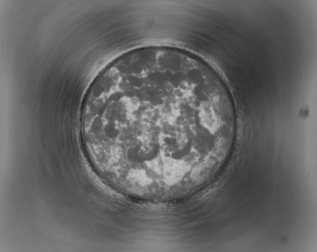 X0000114670895200911181204