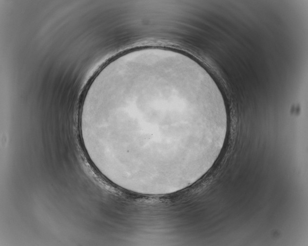 X0000114670896200911181204