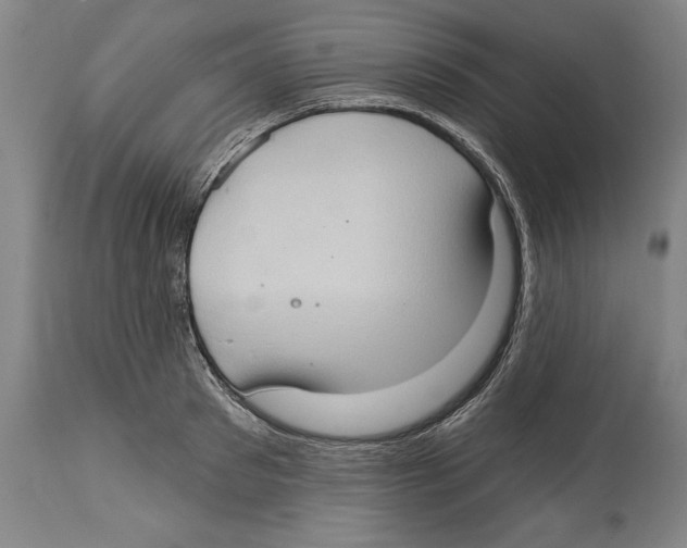 X0000114670897200911181204