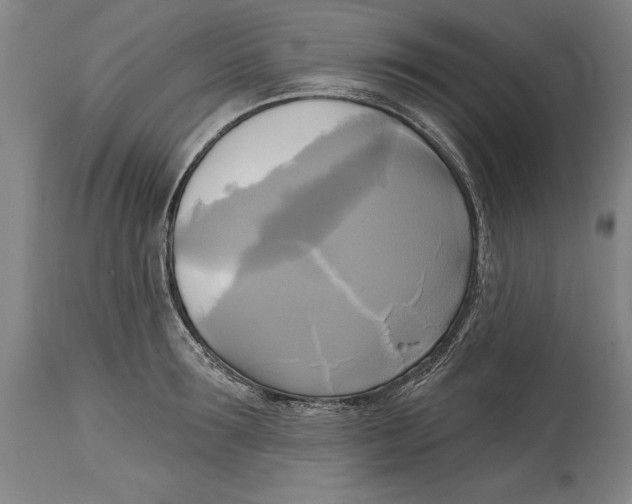 X0000114670899200911181204