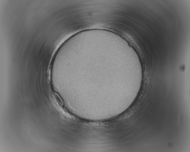 X0000114670900200911181204