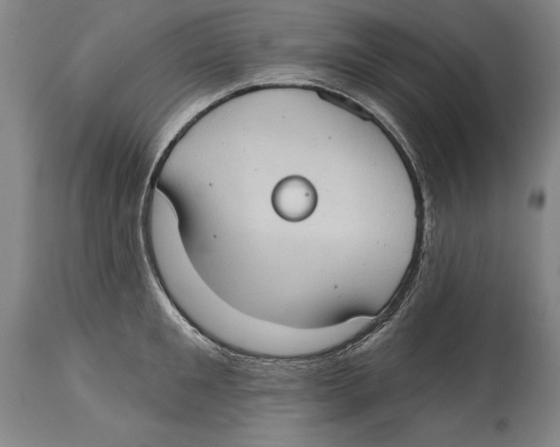 X0000114670901200911181204