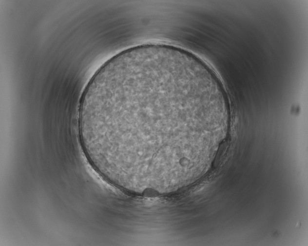 X0000114670903200911181204