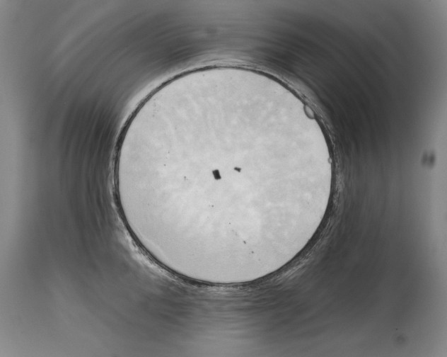 X0000114670904200911181204