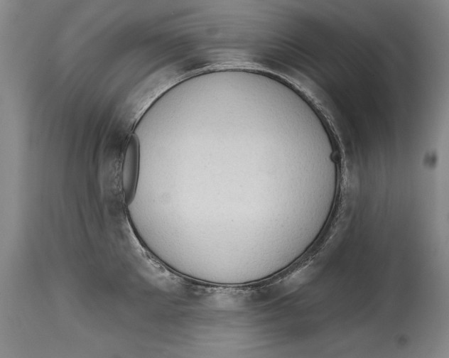 X0000114670905200911181204